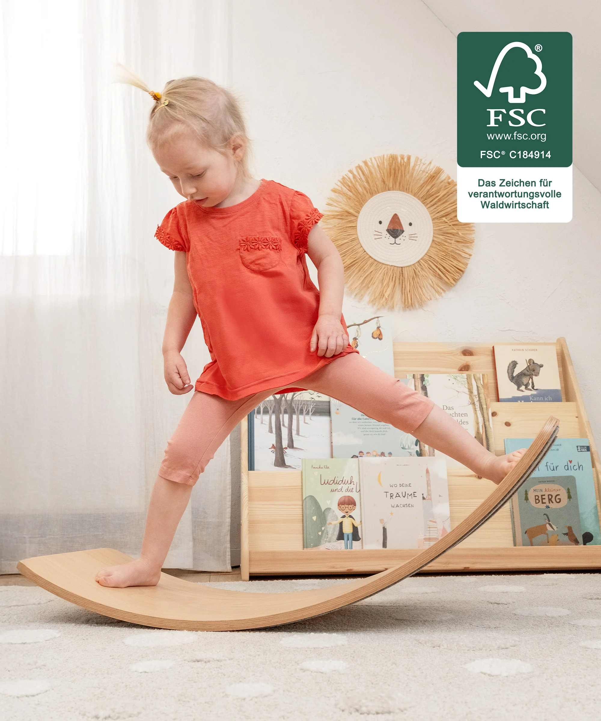 Balanceboard  |  Buche - Image 14