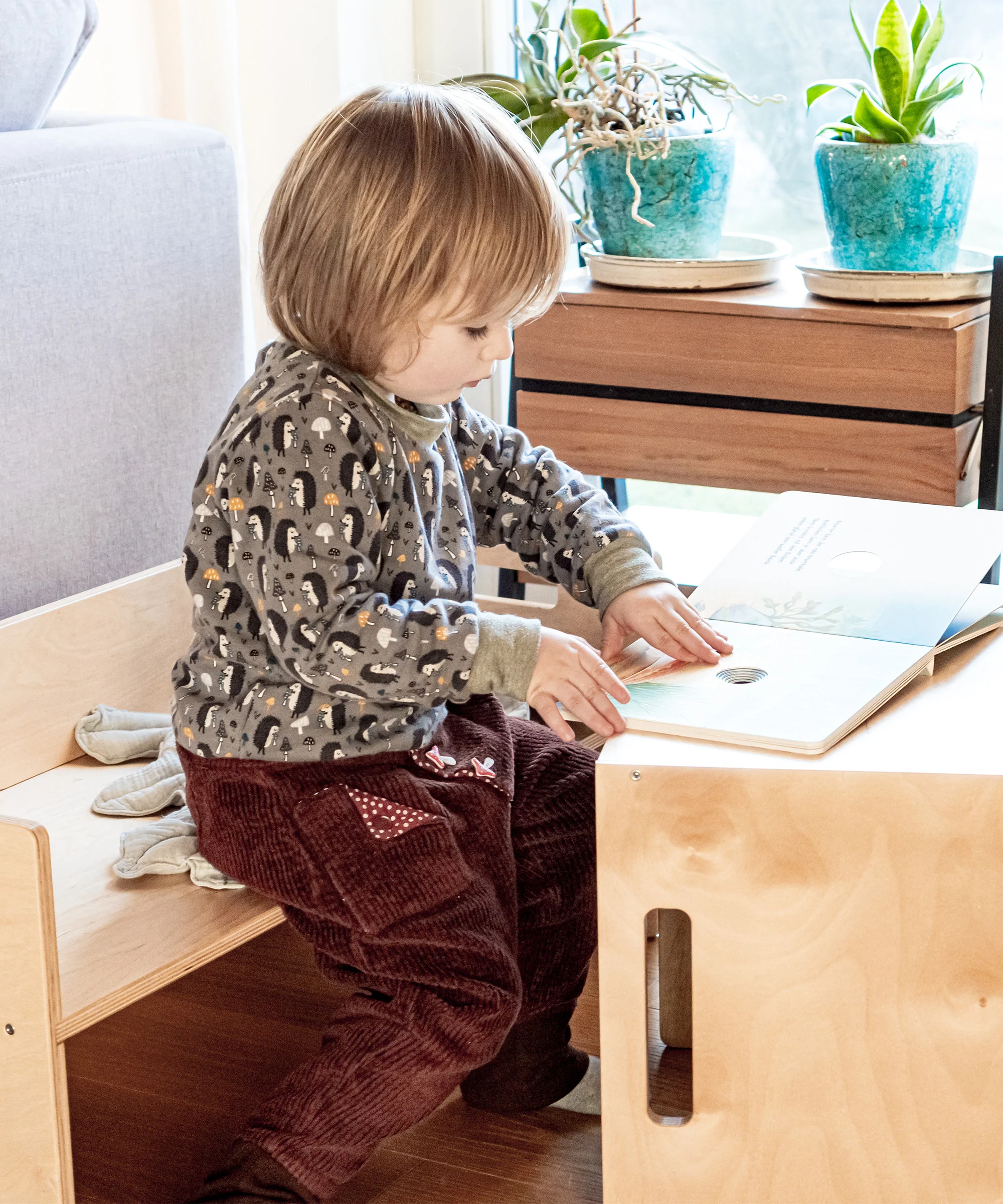 Hocker (B-Ware)  |  Birke - Image 10