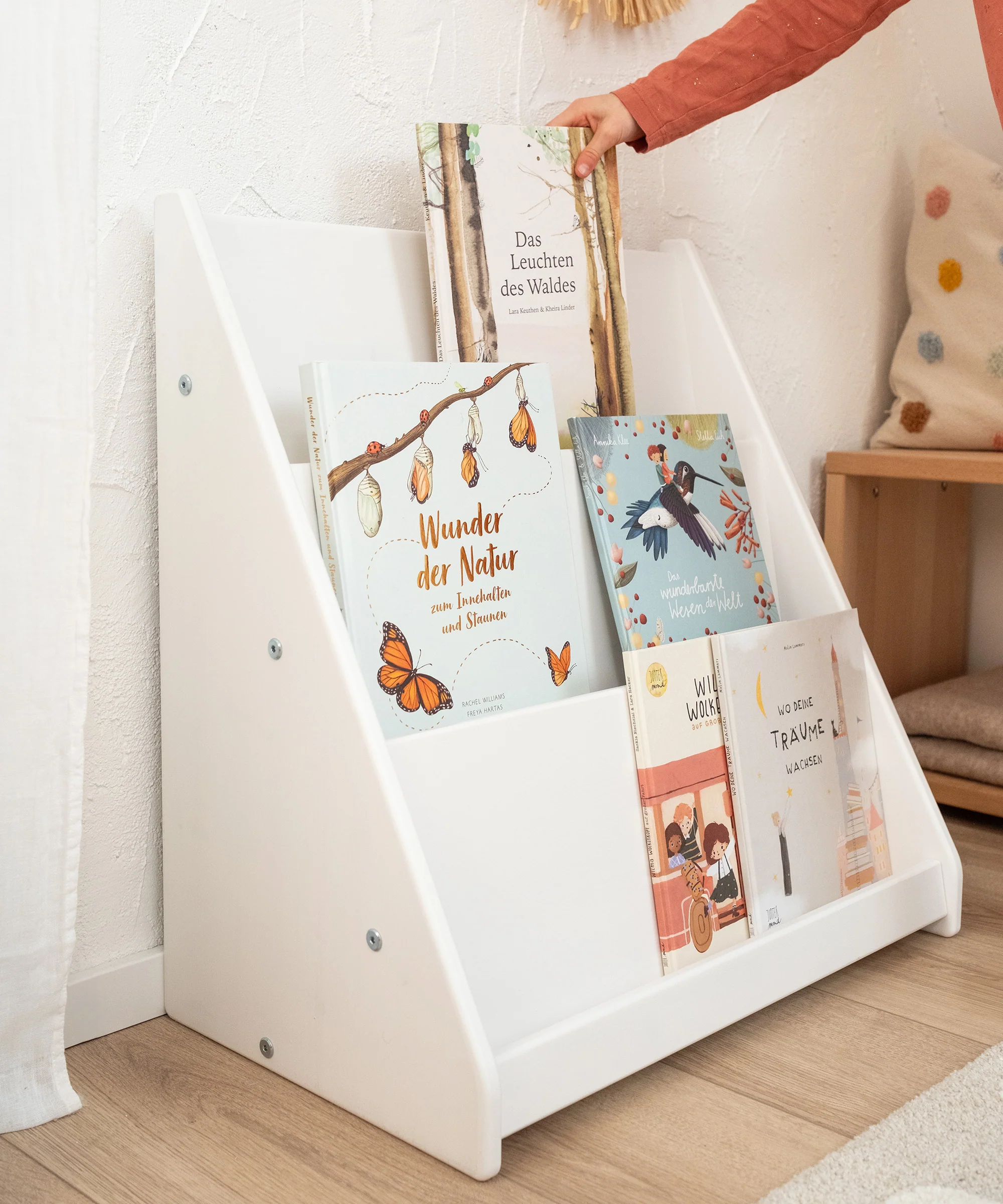 Bücherregal (B-Ware)  |  Kiefer - Image 2