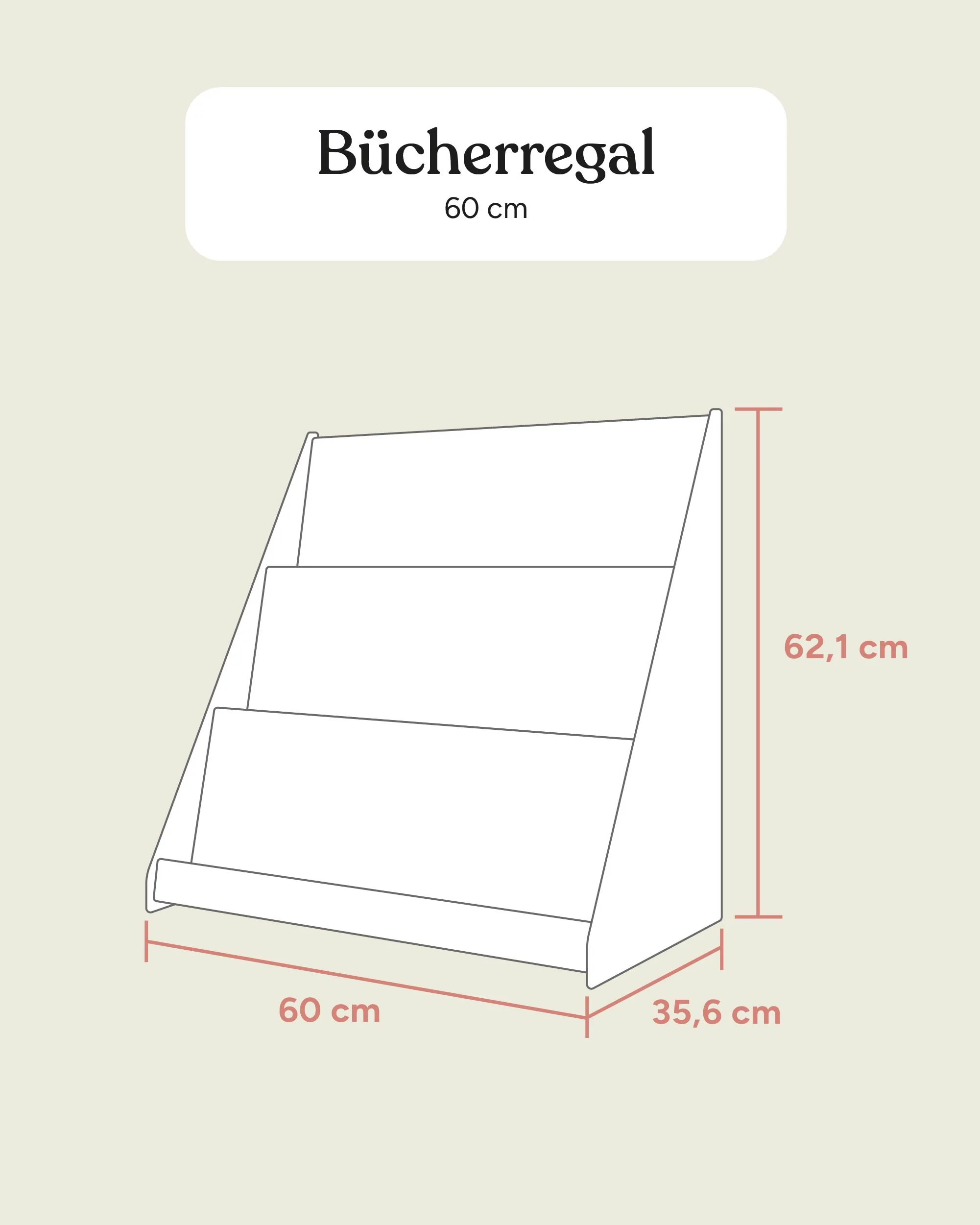 Bücherregal  |  Kiefer - Image 14