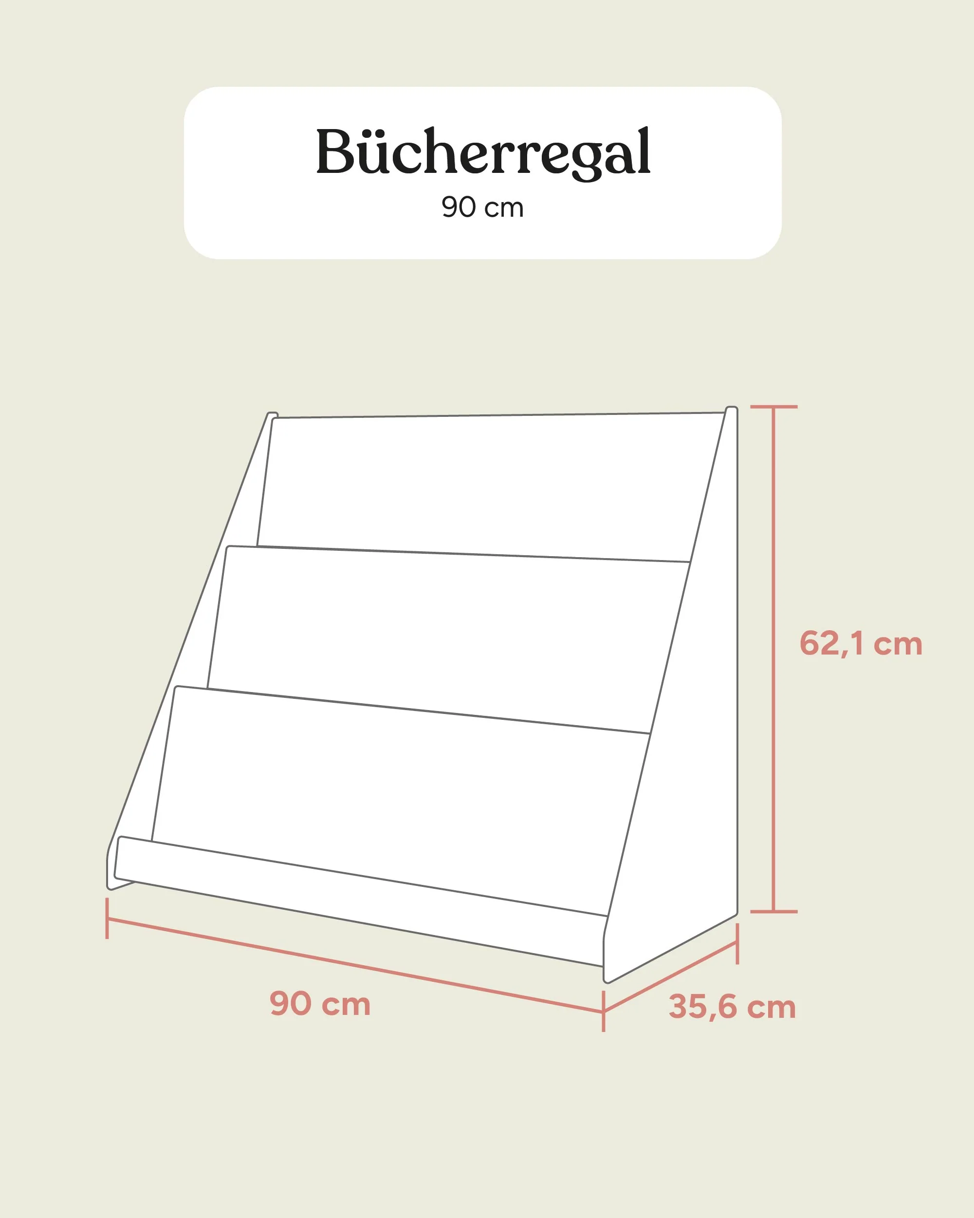 Bücherregal  |  Kiefer - Image 15