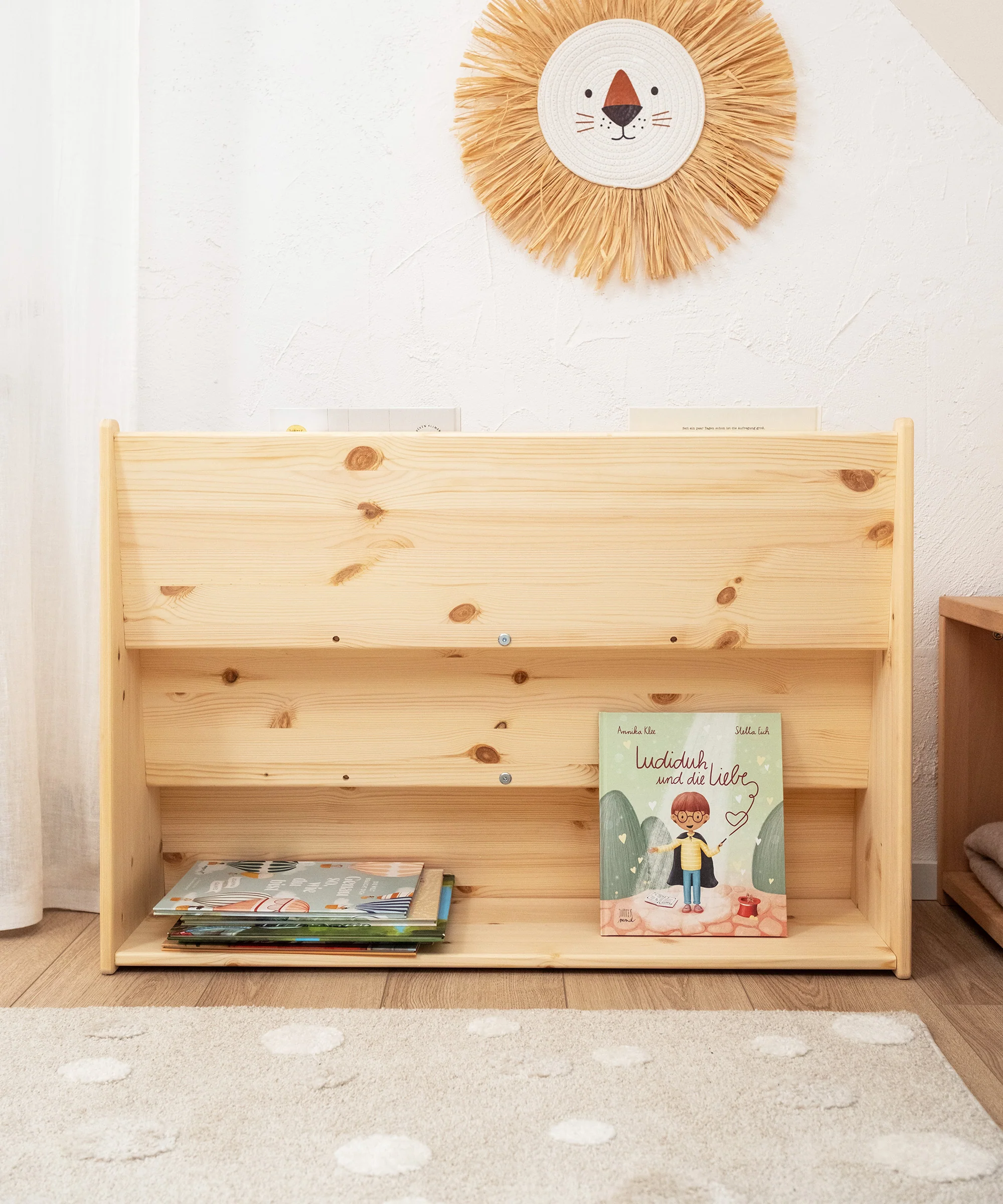 Bücherregal  |  Kiefer - Image 6