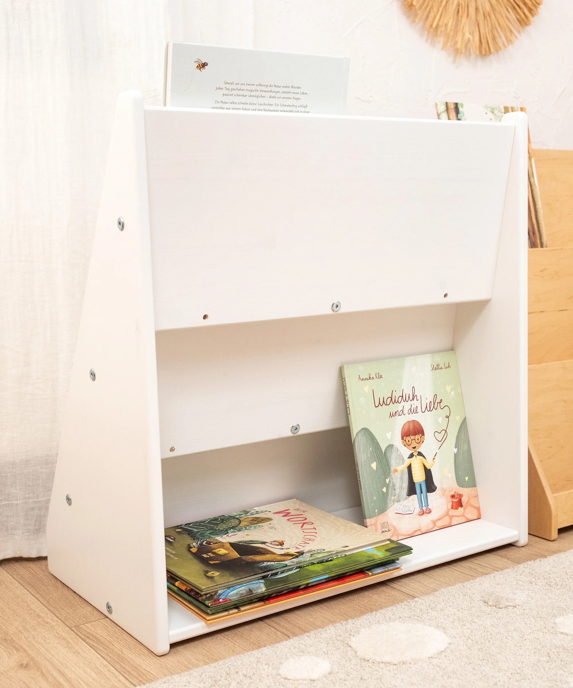 Bücherregal (B-Ware)  |  Kiefer - Image 3