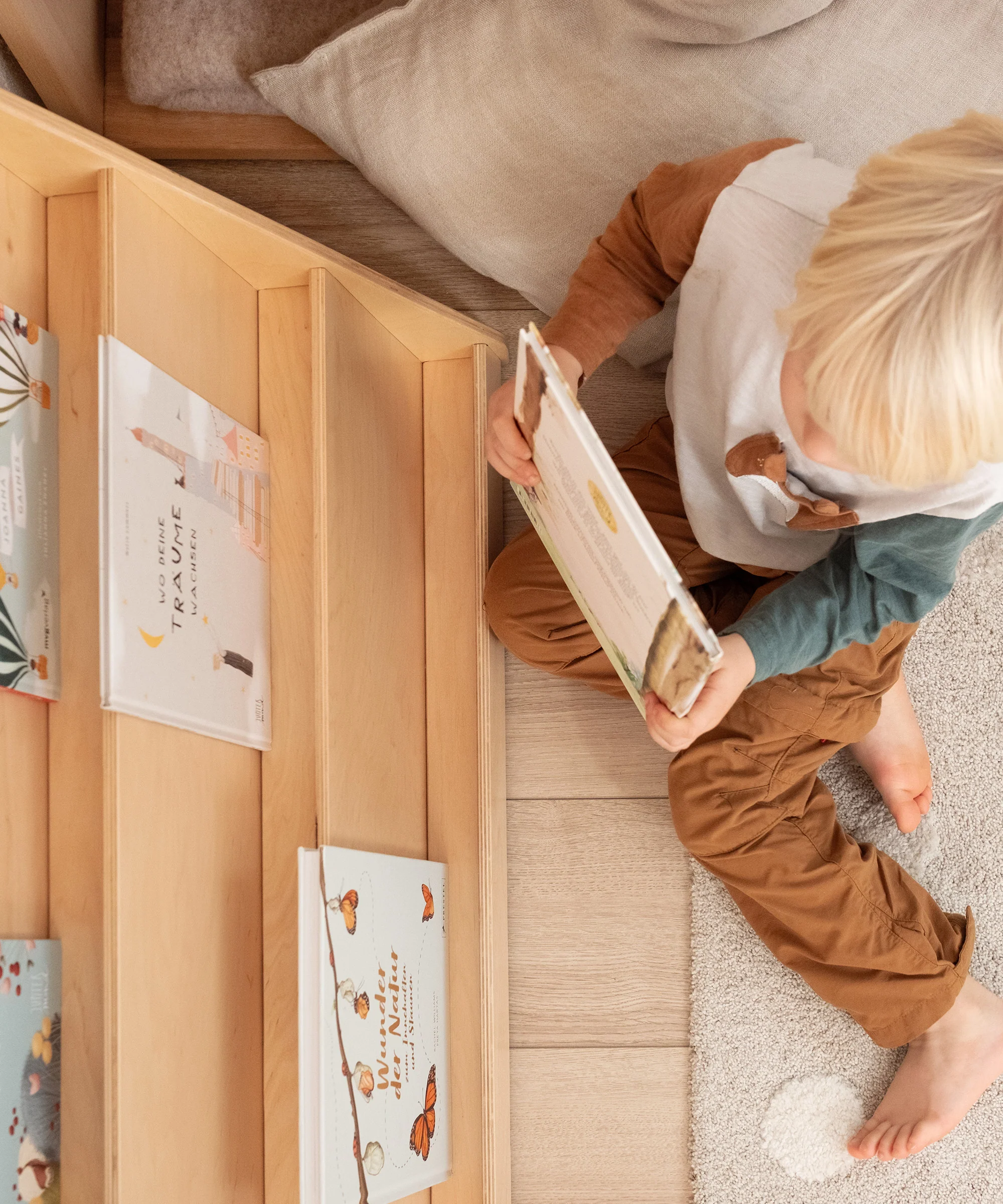 Bücherregal (B-Ware)  |  Birke - Image 11
