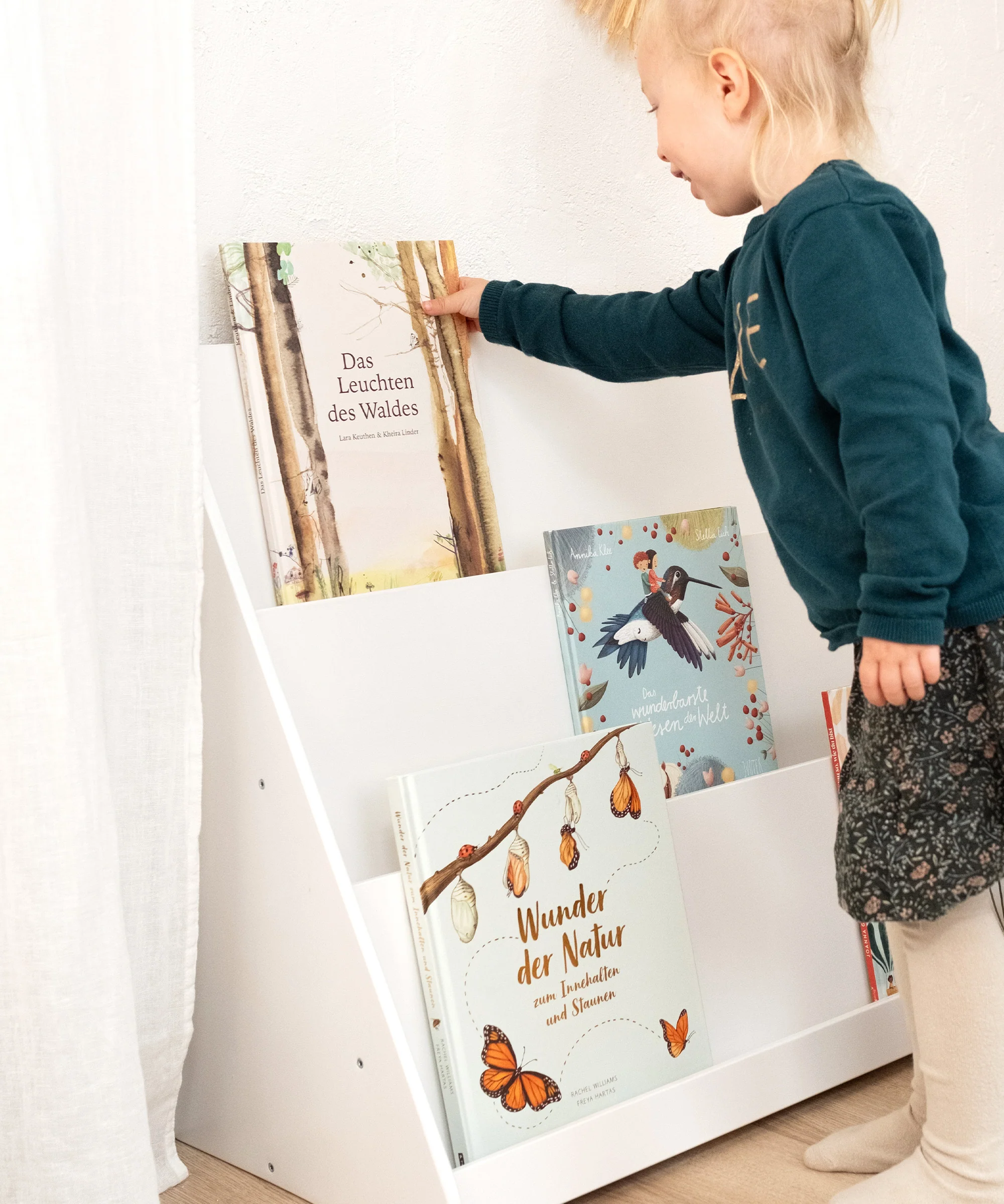 Bücherregal (B-Ware)  |  Birke - Image 4