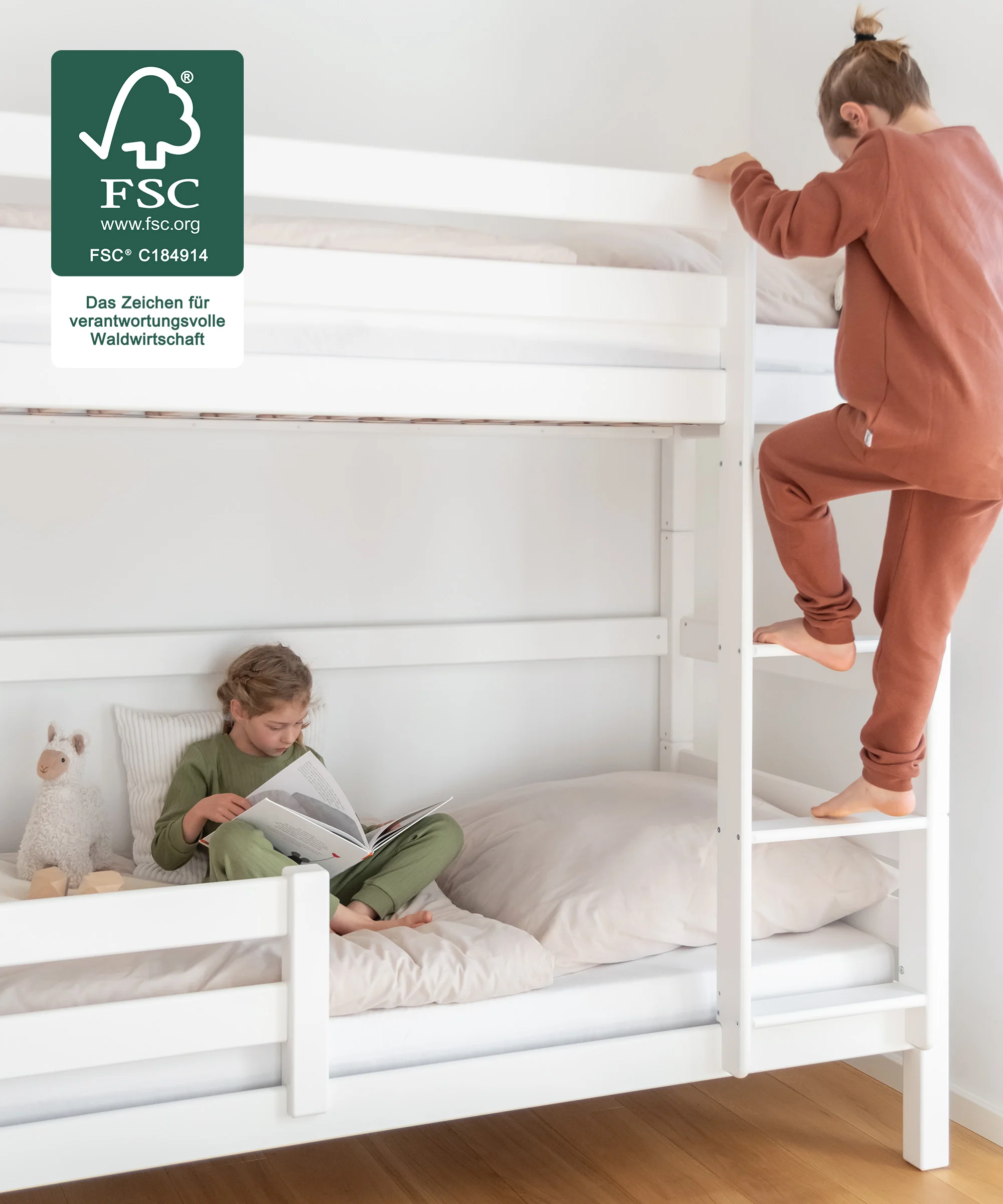 Etagenbett Hoch  |  Buche Weiß - Image 2