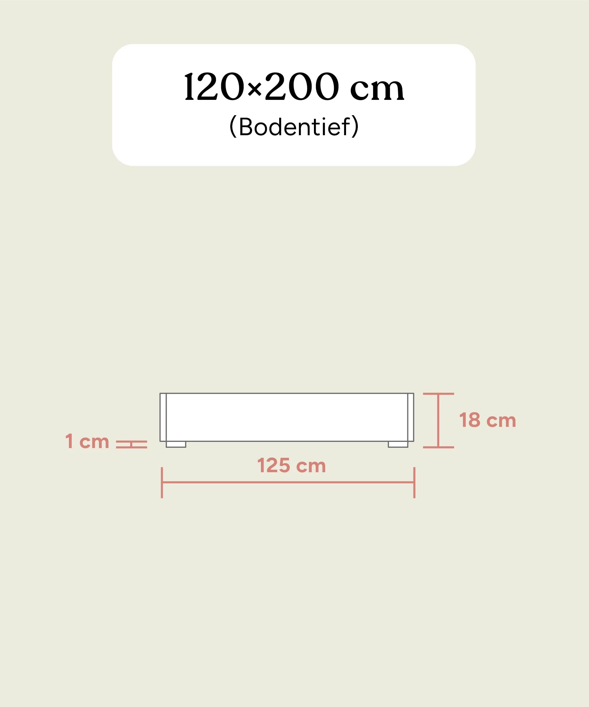 Jugendbett Plano | Eiche | 120 × 200 cm - Image 14
