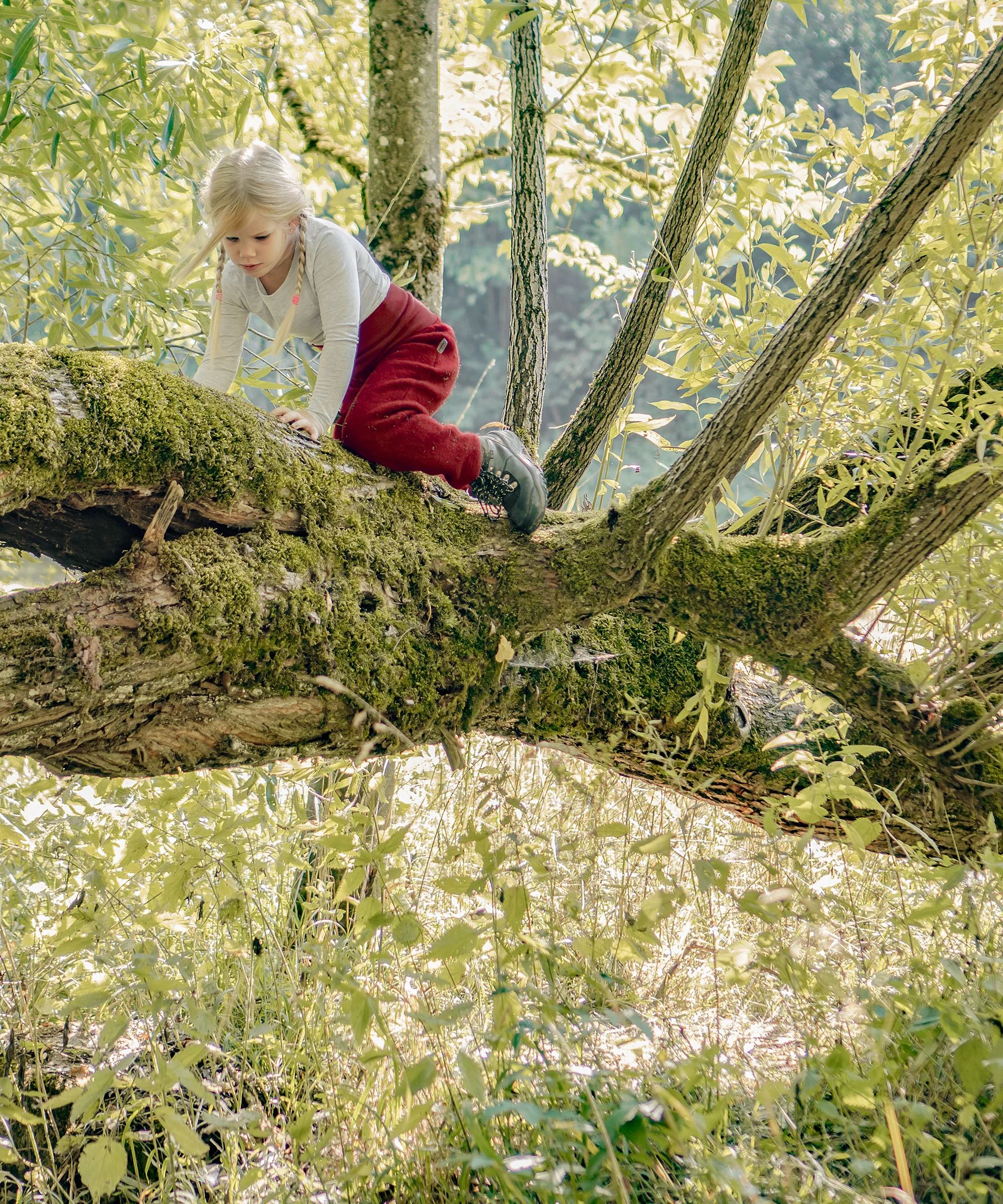 Walkhose - Image 5